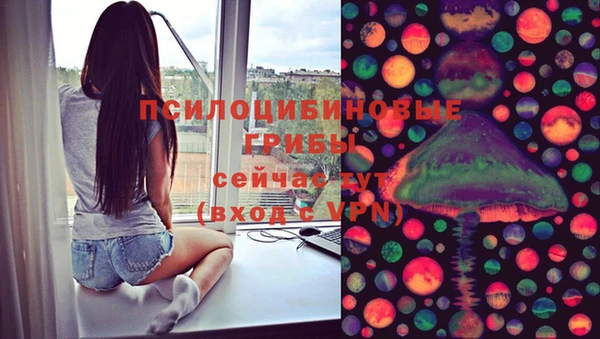 синтетический гашиш Алексеевка