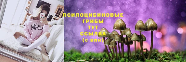 бошки Алзамай